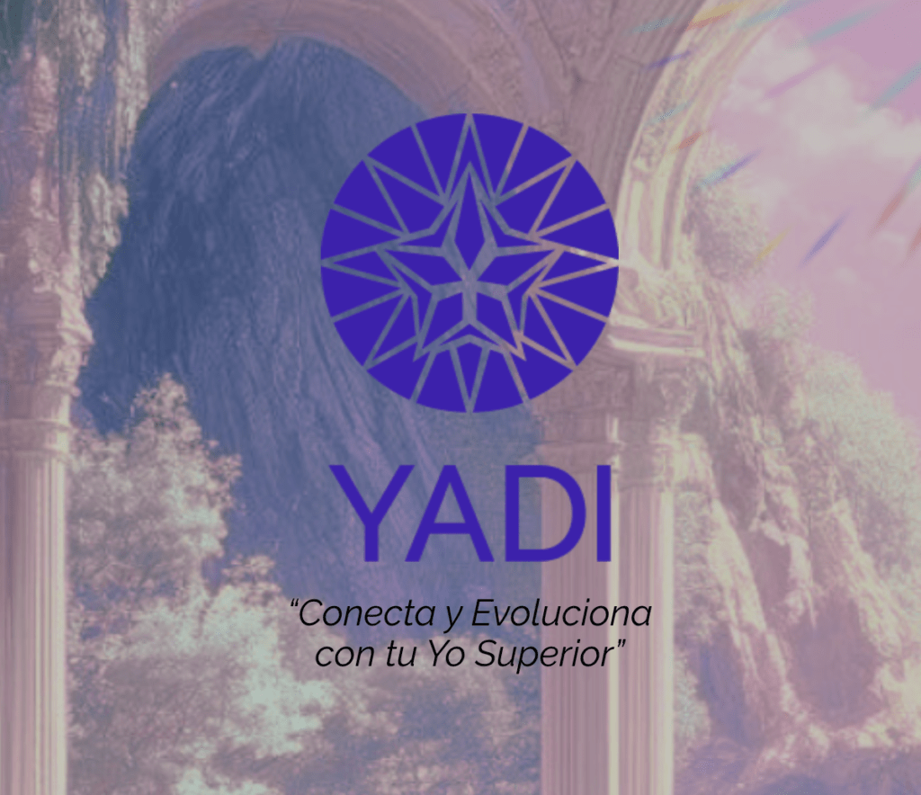 sistema de reprogramación consciente